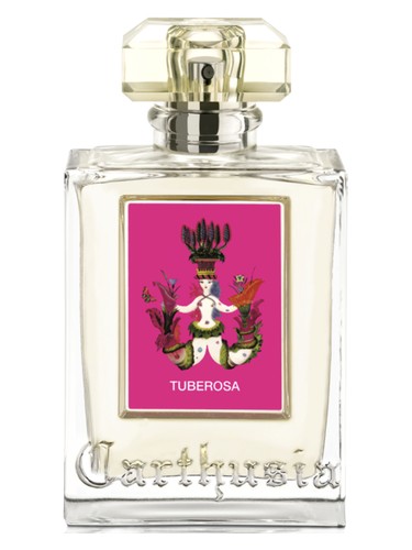 Tuberosa