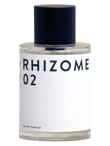 Rhizome 02 by Rhizome