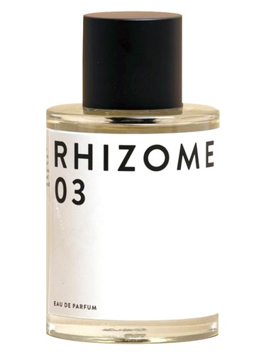 Rhizome 03 by Rhizome