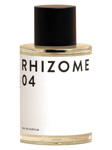 Rhizome 04 by Rhizome