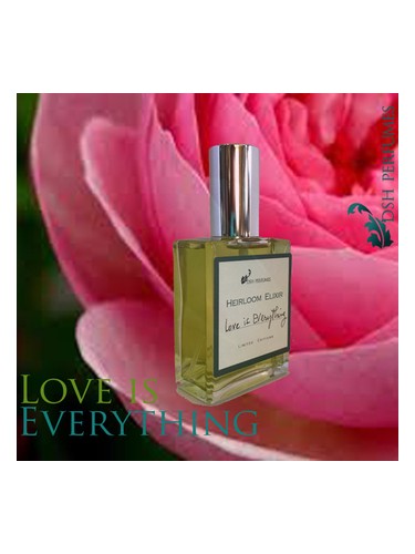 Love is Everything by DSH Perfumes