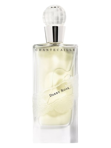 Darby Rose by Chantecaille