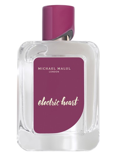 Electric Heart by Michael Malul London
