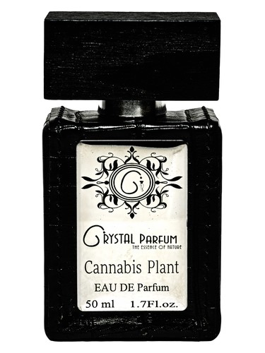 Cannabis Plant by Crystal Parfum