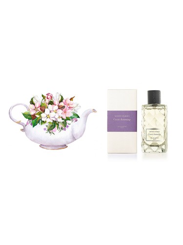 Cassis Jamming by Water Stories