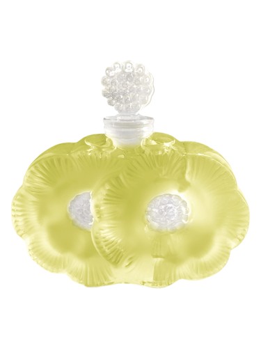 Paradis Provence by Shalini