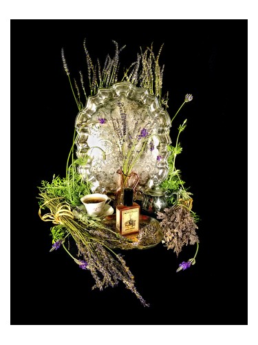 Estate Lavender by Solstice Scents