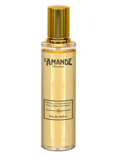 Petali di Sambuco Polvere d'Ambra L'Amande perfume by L Amande