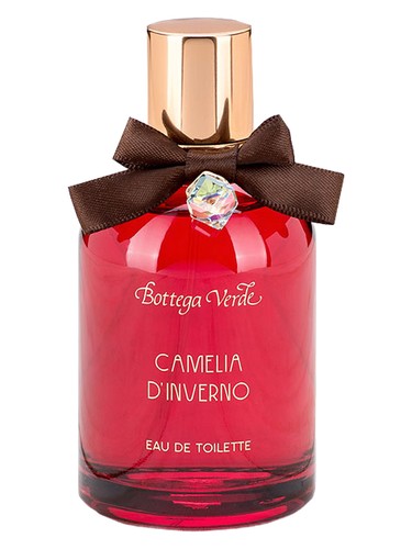 Camelia d'Inverno by Bottega Verde