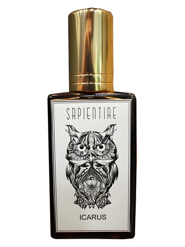 Ícarus by Sapientiae Niche