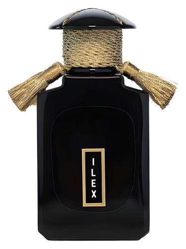 Ilex by Cultus Artem