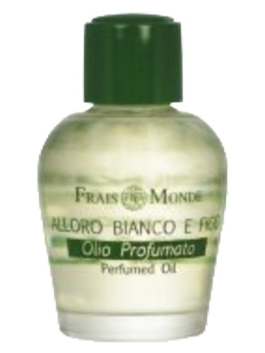 White Laurel and Fico by Frais Monde