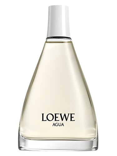 Agua 44.2 by Loewe