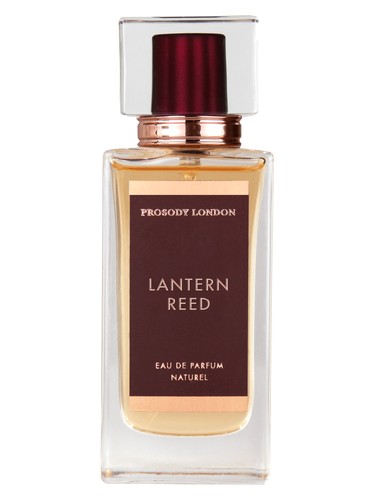 Lantern Reed by Prosody London