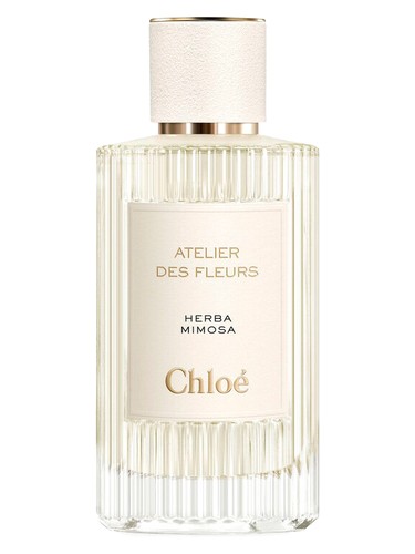 Herba Mimosa Chloé perfume by Chloe