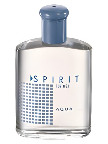 Spirit for Men Aqua by Avon