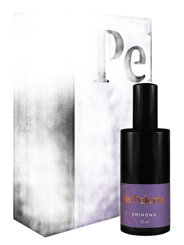 Eminonu by le Pelerin