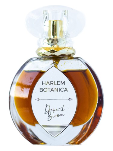 Desert Bloom by Harlem Botanica