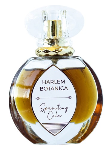 Sprouting Calm by Harlem Botanica