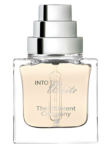 Into The White by The Different Company