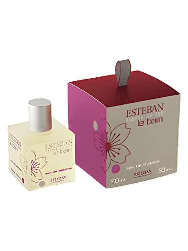 Esprit de Thé by Esteban