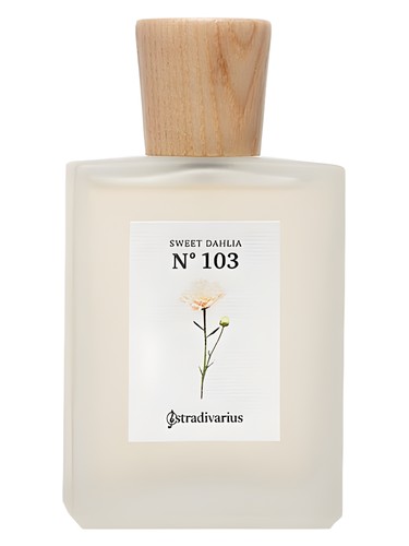 N° 103 Sweet Dahlia by Stradivarius
