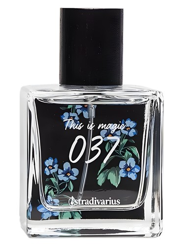 037 This Is Magic by Stradivarius