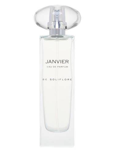 Janvier by Be Soliflore
