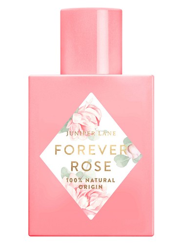Forever Rose by Nature Blossom