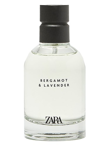 Bergamot &amp; Lavender