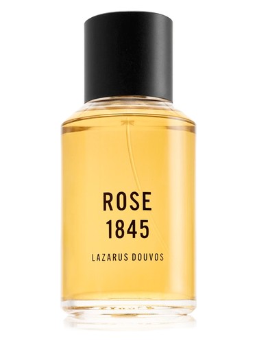 Rose 1845 by Lazarus Douvos