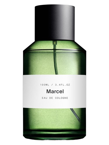 Marcel by Marie Jeanne