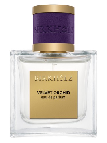 Velvet Orchid by Birkholz
