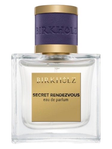 Secret Rendezvous by Birkholz