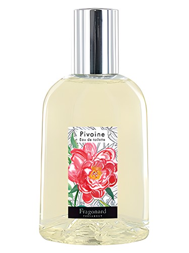 Pivoine by Fragonard