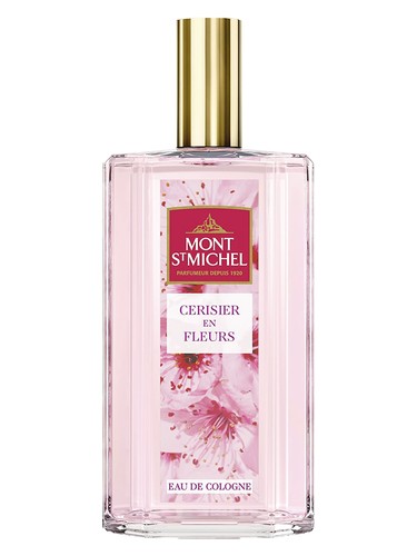 Cerisier en Fleurs by Mont St Michel