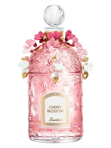 Cherry Blossom 2020 Millésime