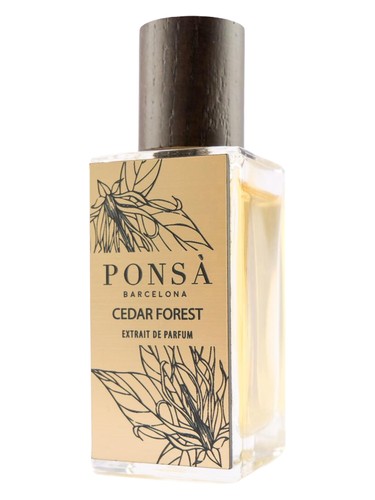 Cedar Forest by Ponsa