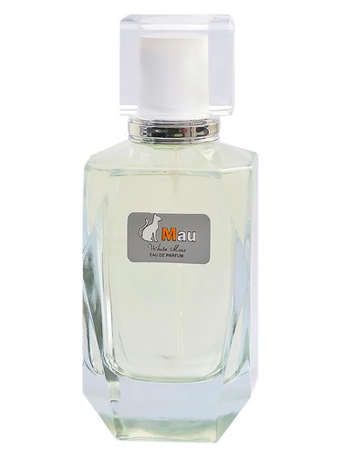 White Mau by Mau Perfume