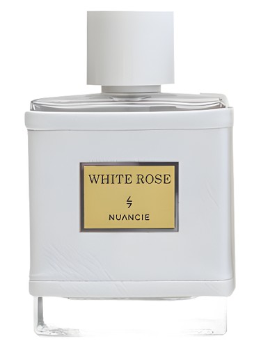 White Rose by Nuancielo