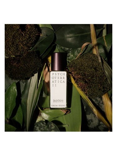 Psychoterratica II 2020 by Jorum Studio