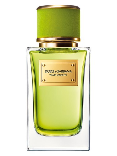 Velvet Mughetto Dolce&Gabbana perfume