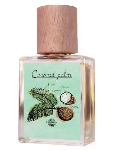 Coconut Palm by Sucreabeille