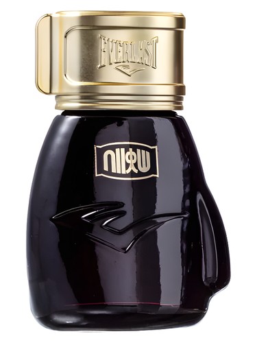 Choice Of Champions Street Fighter Metro City by Everlast