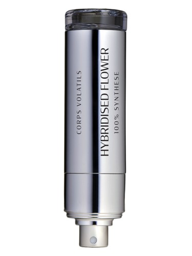 Hybridised Flower by Corps Volatils