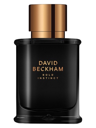 Bold Instinct by David Beckham
