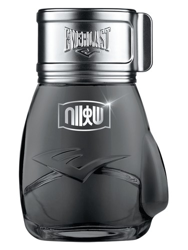 Choice Of Champions Street Fighter Shoryuken by Everlast