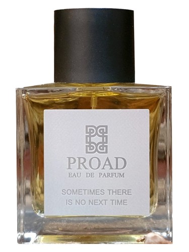 Sometimes There Is No Next Time by Proad