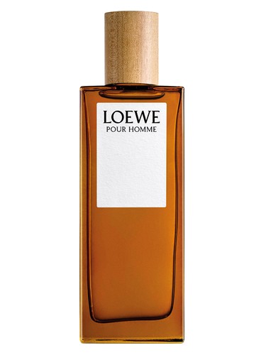 Loewe Pour Homme by Loewe