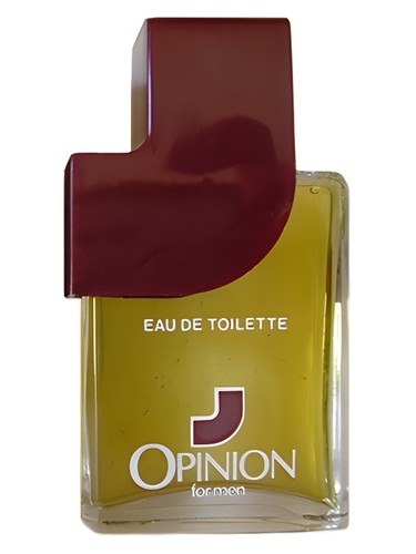 Opinion For Men by Hanorah